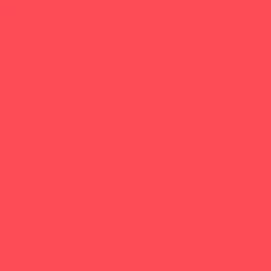 Ruby Kisses Matte Lipstick RMLS - Image 7